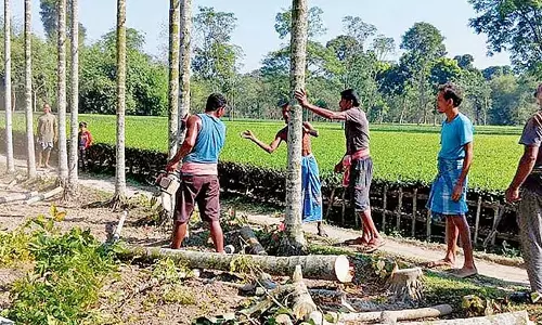 Soleiman-Akhil के निस्वार्थ दान से कूचबिहार को राहत मिली