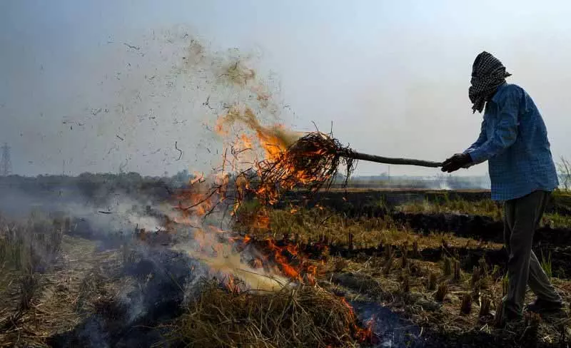Punjab: सीज़न खत्म होने के करीब, खेतों में आग लगने की घटनाएं 50% तक कम हुईं Punjab: सीज़न खत्म होने के करीब, खेतों में आग लगने की घटनाएं 50% तक कम हुईं