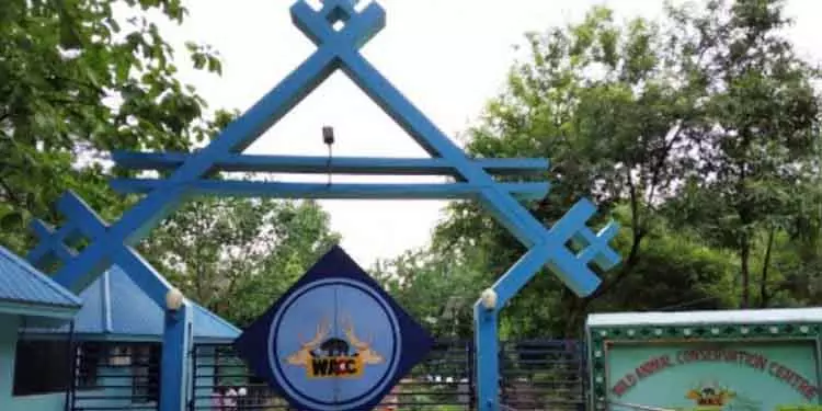 धर्मेंद्र प्रधान ने Sambalpur चिड़ियाघर में बाघ बाड़े की नींव रखी धर्मेंद्र प्रधान ने Sambalpur चिड़ियाघर में बाघ बाड़े की नींव रखी