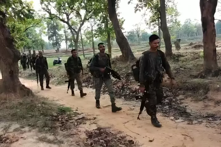 Chhattisgarh: 89 लाख रुपये के इनामी 28 माओवादियों ने सरेंडर किया Chhattisgarh: 89 लाख रुपये के इनामी 28 माओवादियों ने सरेंडर किया