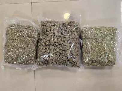 FIR दर्ज: एयरपोर्ट पर चार दिन में 32.70 करोड़ रुपए का हाइड्रोपोनिक गांजा बरामद FIR दर्ज: एयरपोर्ट पर चार दिन में 32.70 करोड़ रुपए का हाइड्रोपोनिक गांजा बरामद