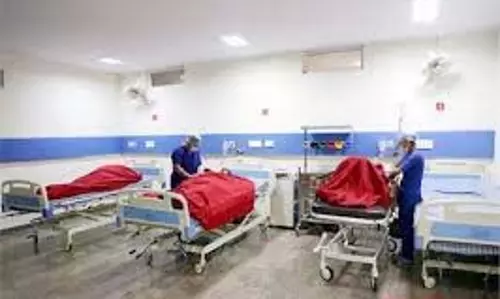 Punjab:फैला खतरनाक Virus, बड़ी संख्या में लोग हो रहे प्रभावित Punjab:फैला खतरनाक Virus, बड़ी संख्या में लोग हो रहे प्रभावित