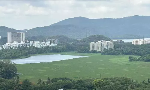 BMC ने नए STP, सीवेज डायवर्जन और जलकुंभी हटाने के साथ ₹66 करोड़ का पवई झील रेस्टोरेशन प्रोजेक्ट शुरू किया