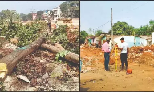सड़क निर्माण के दौरान पेड़ों की कटाई न करने के पहले के आश्वासन के बावजूद सलिया साही में पेड़ों की कटाई शुरू सड़क निर्माण के दौरान पेड़ों की कटाई न करने के पहले के आश्वासन के बावजूद सलिया साही में पेड़ों की कटाई शुरू