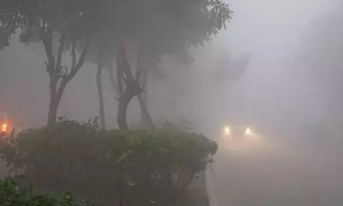 Bhopal: मध्य प्रदेश में मौसम बदलेगा, सर्दी बढ़ने की संभावना Bhopal: मध्य प्रदेश में मौसम बदलेगा, सर्दी बढ़ने की संभावना