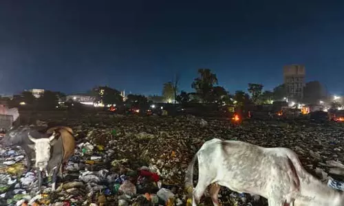 Malerkotla में सॉलिड वेस्ट मैनेजमेंट अभी भी एक मुश्किल काम है