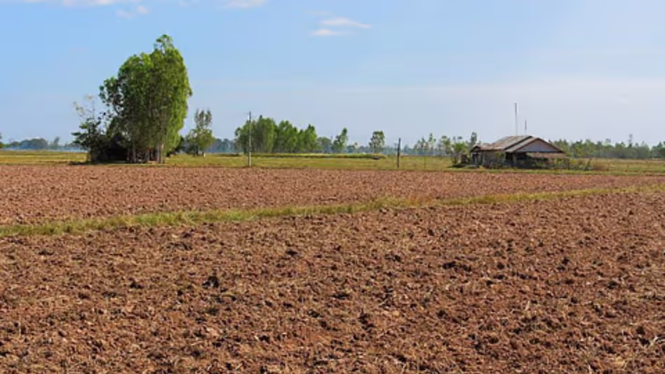 Assam सरकार ने आदिवासी इलाकों की ज़मीनों की सुरक्षा के लिए