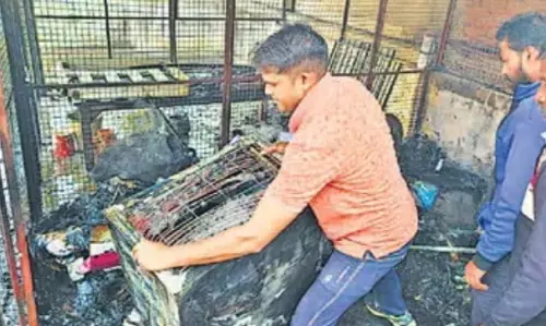 Bareilly: आवास विकास कॉलोनी में आग से हड़कंप, दमकल टीम पहुंची