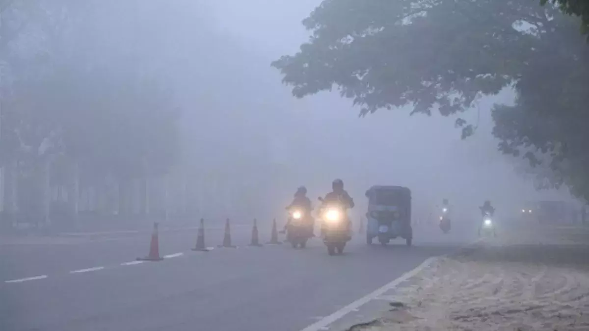 Hisar: हिमालयी बर्फबारी का असर, हरियाणा में मौसम हुआ शीतल