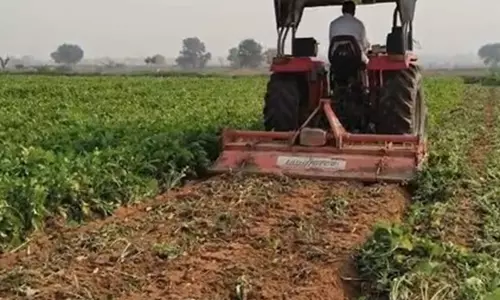 Bhiwani: ट्रैक्टर नवीनीकरण पर बढ़ी फीस, किसानों में रोष Bhiwani: ट्रैक्टर नवीनीकरण पर बढ़ी फीस, किसानों में रोष