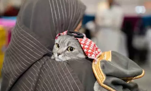 रियाद में Saudi पेट एक्सपो 2025: इंटरनेशनल कैट शो की धूम