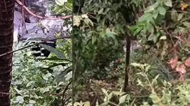 पथानामथिट्टा में ऑटोरिक्शा नदी में गिरा, आठ साल की बच्ची की मौत