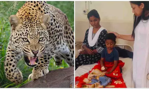 खेड़ तहसील के नीमगांव गांव में तेंदुए के ताजा हमले में चार साल का बच्चा घायल खेड़ तहसील के नीमगांव गांव में तेंदुए के ताजा हमले में चार साल का बच्चा घायल