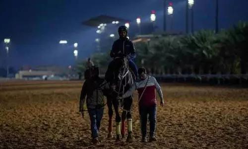 Saudi Cup, आठवीं वेट टू एक्सेल की जोरदार वापसी, बच्चों के लिए भी बड़ी इनामी रेसें