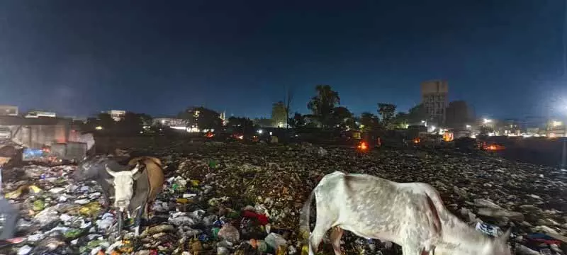 Malerkotla में सॉलिड वेस्ट मैनेजमेंट अभी भी एक मुश्किल काम है Malerkotla में सॉलिड वेस्ट मैनेजमेंट अभी भी एक मुश्किल काम है