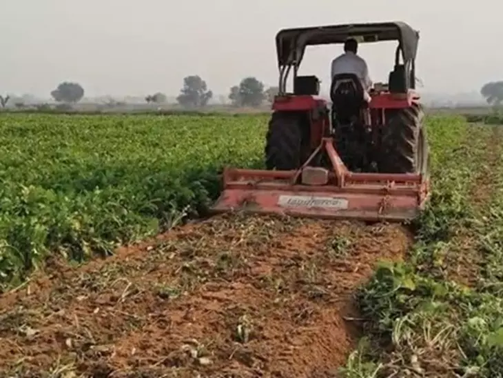 Bhiwani: ट्रैक्टर नवीनीकरण पर बढ़ी फीस, किसानों में रोष Bhiwani: ट्रैक्टर नवीनीकरण पर बढ़ी फीस, किसानों में रोष