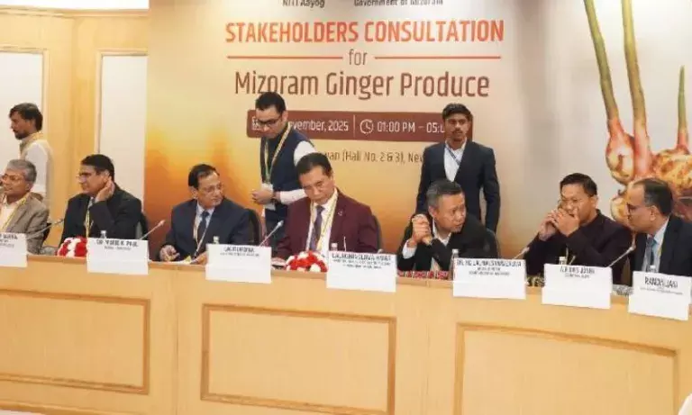 नीति आयोग की सिफारिश के बाद मिजोरम ‘भारत की अदरक राजधानी’ बनने को तैयार नीति आयोग की सिफारिश के बाद मिजोरम ‘भारत की अदरक राजधानी’ बनने को तैयार