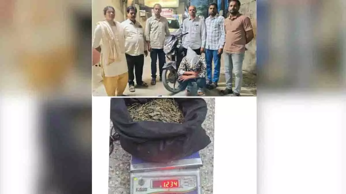 Hyderabad में गांजा बेचने के आरोप में एक व्यक्ति गिरफ्तार Hyderabad में गांजा बेचने के आरोप में एक व्यक्ति गिरफ्तार
