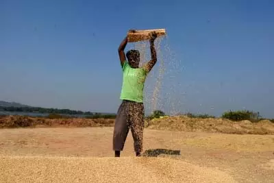 भारत में खरीफ फसलों का उत्पादन 173 मिलियन टन से अधिक होने का अनुमान भारत में खरीफ फसलों का उत्पादन 173 मिलियन टन से अधिक होने का अनुमान