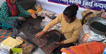 उत्तराखंड: ग्रामीण आजीविका मिशन से चमोली की महिलाएं हो रही आत्मनिर्भर उत्तराखंड: ग्रामीण आजीविका मिशन से चमोली की महिलाएं हो रही आत्मनिर्भर
