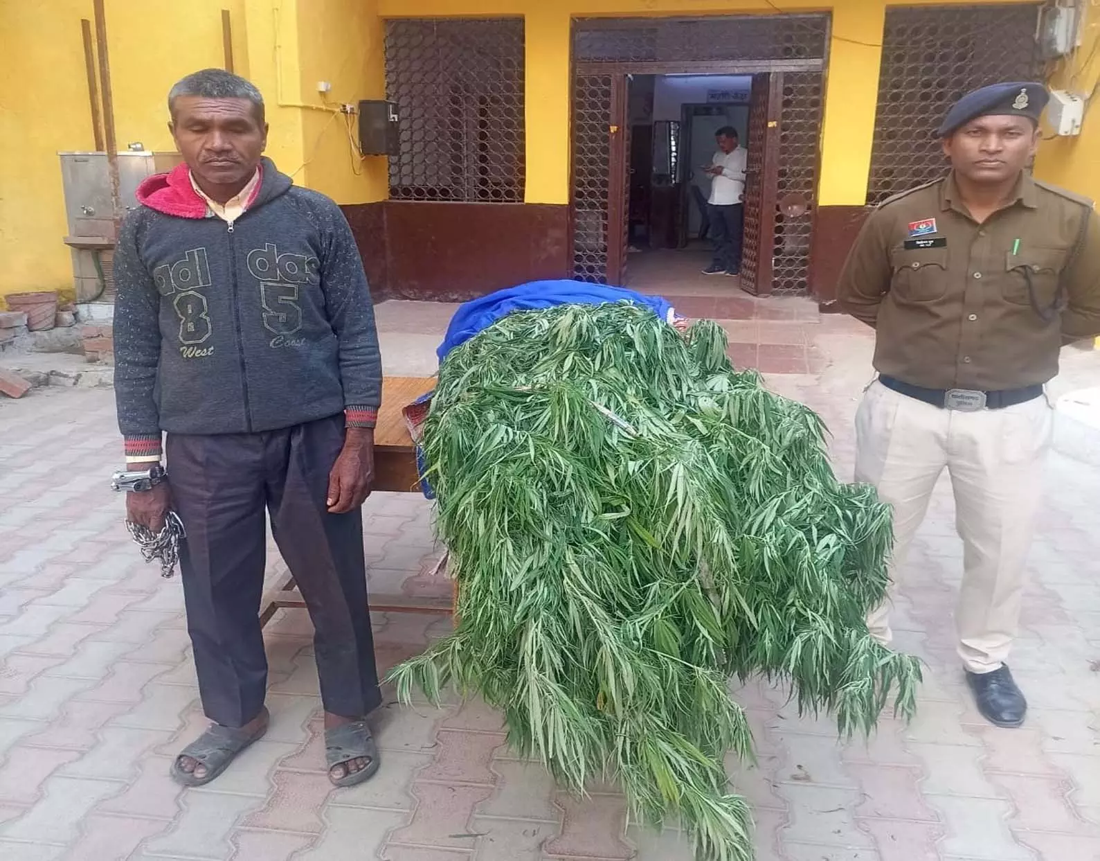 अवैध गांजा का पेड़ लगाने वाला आरोपी गिरफ्तार, 22.560 किलोग्राम गांजा जब्त अवैध गांजा का पेड़ लगाने वाला आरोपी गिरफ्तार, 22.560 किलोग्राम गांजा जब्त