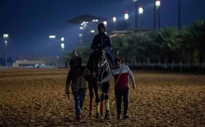 Saudi Cup, आठवीं वेट टू एक्सेल की जोरदार वापसी, बच्चों के लिए भी बड़ी इनामी रेसें Saudi Cup, आठवीं वेट टू एक्सेल की जोरदार वापसी, बच्चों के लिए भी बड़ी इनामी रेसें