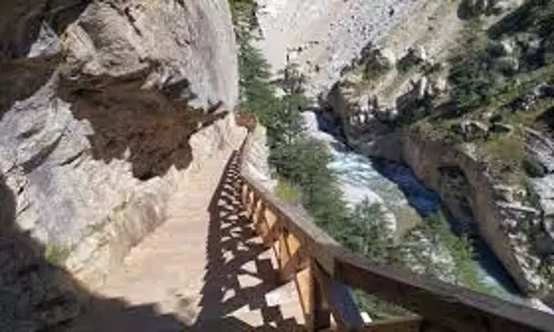 Uttarkashi: गंगोत्री नेशनल पार्क में पारा गिरने से जमे नदी-नाले Uttarkashi: गंगोत्री नेशनल पार्क में पारा गिरने से जमे नदी-नाले