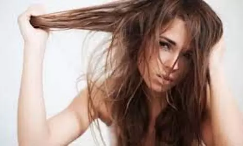 Winter Hair Care: सर्दियों में भी अपने बालों को हेल्दी, शाइनी और मज़बूत रखने के आसान घरेलू नुस्खे Winter Hair Care: सर्दियों में भी अपने बालों को हेल्दी, शाइनी और मज़बूत रखने के आसान घरेलू नुस्खे