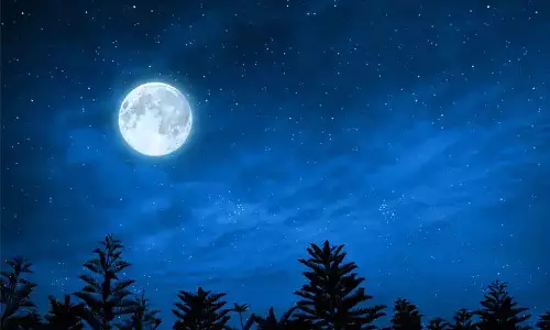 Margashirsha Purnima 2025: मार्गशीर्ष पूर्णिमा पर करें ये उपाय, मिलेगी धन संबंधी समस्याओं से मुक्ति