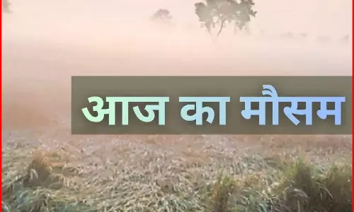 छत्तीसगढ़ में बढ़ी ठंड! मैनपाट पहुंचने लगे पर्यटक छत्तीसगढ़ में बढ़ी ठंड! मैनपाट पहुंचने लगे पर्यटक