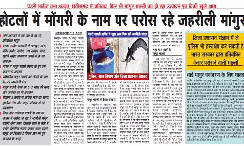 होटलों में मोंगरी के नाम पर परोस रहे जहरीली मांगुर होटलों में मोंगरी के नाम पर परोस रहे जहरीली मांगुर