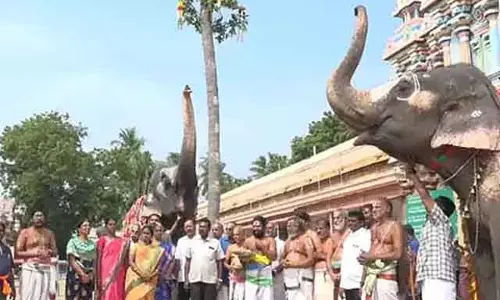 Srirangam अरंगनाथर मंदिर में सोक्कापना मुहूर्त का रोपण Srirangam अरंगनाथर मंदिर में सोक्कापना मुहूर्त का रोपण