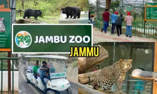 Jambu Zoo को उत्तर भारत का वाइल्डलाइफ आइकॉन बनाने के लिए 20 साल का मास्टर प्लान तैयार
