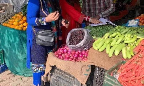 Amritsar: फूड सेफ्टी विंग ने किराना और सब्जी की दुकानों का निरीक्षण किया