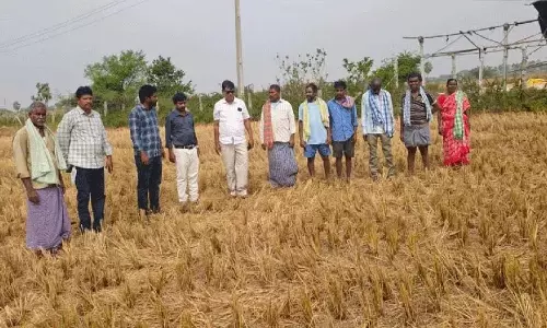 धान की पराली जलाने से धरती पर जीवन नष्ट हो जाएगा: DAO श्रीधर रेड्डी
