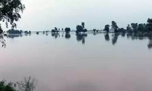 Kullu में सतलुज नदी में कूदे कपल, सर्च ऑपरेशन जारी