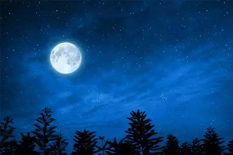 Margashirsha Purnima 2025: मार्गशीर्ष पूर्णिमा पर करें ये उपाय, मिलेगी धन संबंधी समस्याओं से मुक्ति Margashirsha Purnima 2025: मार्गशीर्ष पूर्णिमा पर करें ये उपाय, मिलेगी धन संबंधी समस्याओं से मुक्ति