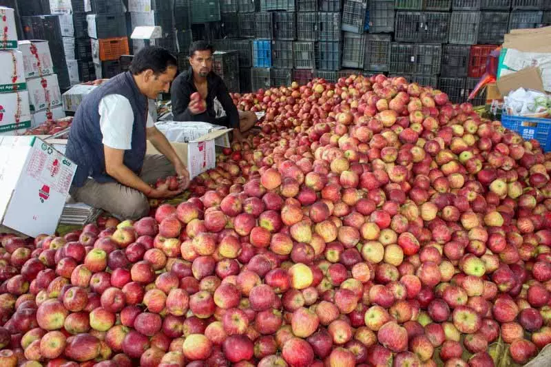 Solan APMC ने डिफॉल्टर एजेंटों को 1 महीने का अल्टीमेटम दिया Solan APMC ने डिफॉल्टर एजेंटों को 1 महीने का अल्टीमेटम दिया