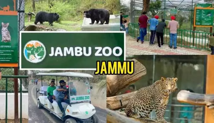 Jambu Zoo को उत्तर भारत का वाइल्डलाइफ आइकॉन बनाने के लिए 20 साल का मास्टर प्लान तैयार Jambu Zoo को उत्तर भारत का वाइल्डलाइफ आइकॉन बनाने के लिए 20 साल का मास्टर प्लान तैयार