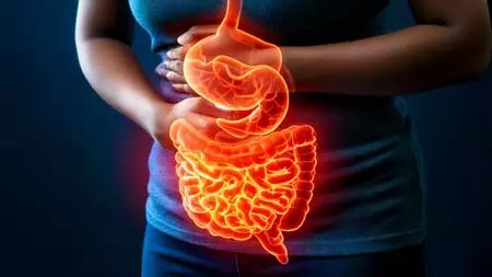 सर्दियों में पाचन मजबूत कैसे रखें? आयुर्वेद से जानें आसान टिप्स सर्दियों में पाचन मजबूत कैसे रखें? आयुर्वेद से जानें आसान टिप्स