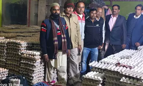 नकली अंडे का गोदाम सील, खबर को पढ़कर आप भी चौंक जाएंगे नकली अंडे का गोदाम सील, खबर को पढ़कर आप भी चौंक जाएंगे