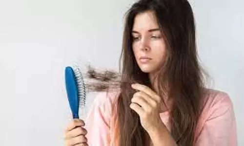 Hair Care: झड़ते बालों को रोकने के लिए अपनाएं ये 5 घरेलू नुस्खे Hair Care: झड़ते बालों को रोकने के लिए अपनाएं ये 5 घरेलू नुस्खे