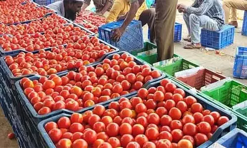 Tomato की कीमतें आसमान छू रही हैं: ग्राहक परेशान हैं