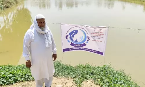 Haryana में मछली पालन एक ऐसा ग्रामीण उद्यम है जिससे ज़्यादा फ़ायदा होता है