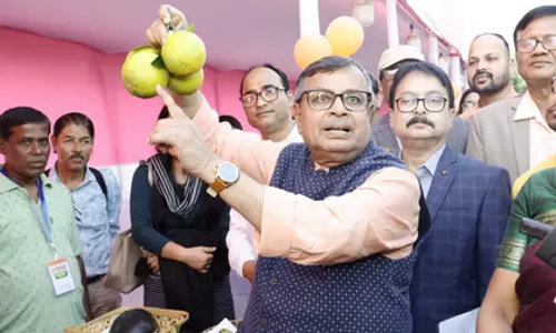 संतरे और फूलों की खेती के लिए Tripura में नई पहल