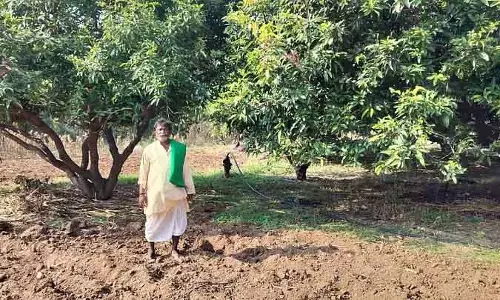 ऑर्गेनिक मिक्स्ड फ़ार्मिंग: किसान असंगेप्पा ने अच्छा मुनाफ़ा कमाया ऑर्गेनिक मिक्स्ड फ़ार्मिंग: किसान असंगेप्पा ने अच्छा मुनाफ़ा कमाया
