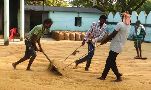 धान खरीद प्रक्रिया में देरी पर Bargarh के किसानों का विरोध धान खरीद प्रक्रिया में देरी पर Bargarh के किसानों का विरोध