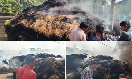 बिजली विभाग की लापरवाही से किसान की 4.5 एकड़ धान जलकर खाक