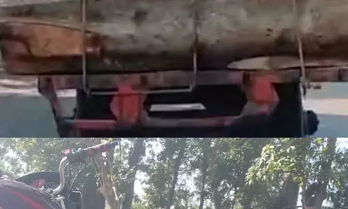 Gonda: कटरा बाज़ार क्षेत्र में वन माफियाओं का आतंक चरम पर, प्रतिबंधित पेड़ों की खुलेआम कटान