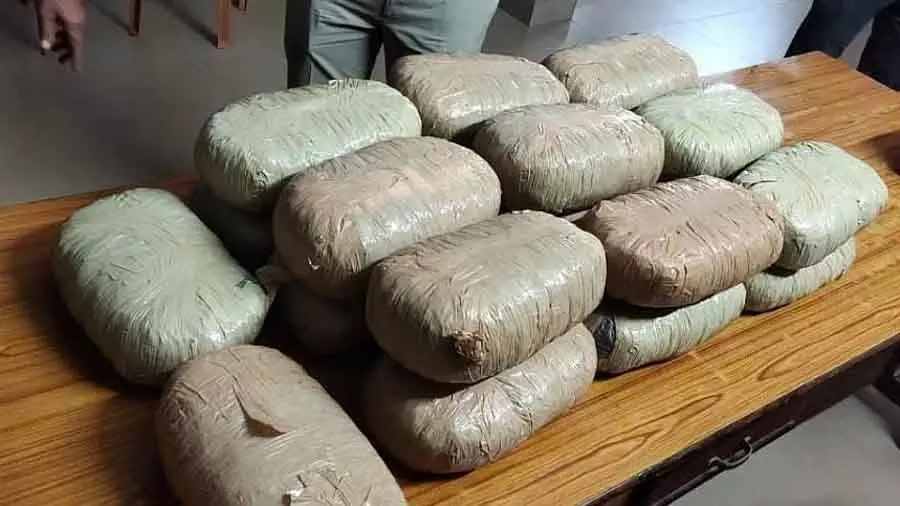 Hydroponic गांजा की तस्करी के लिए तस्कर हवाई यात्रियों का सहारा ले रहे है Hydroponic गांजा की तस्करी के लिए तस्कर हवाई यात्रियों का सहारा ले रहे है